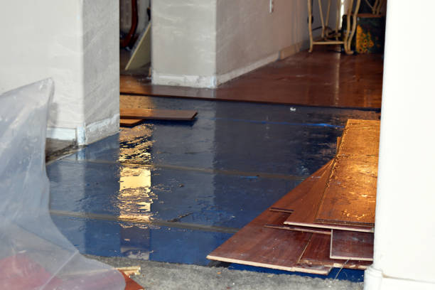 Professional Water Damage Restoration technician working in Diamond, IL